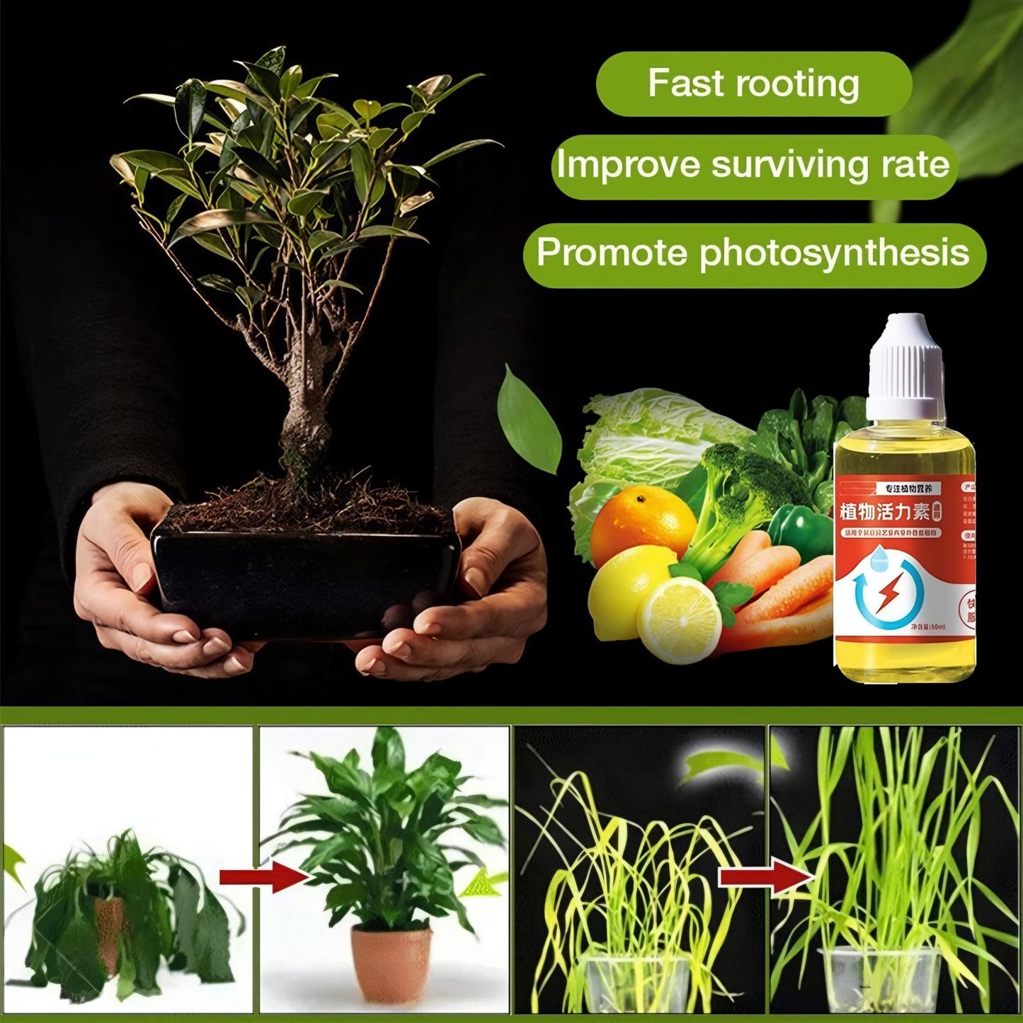 Yegbong™ Plant Growth Enhancer Supplement