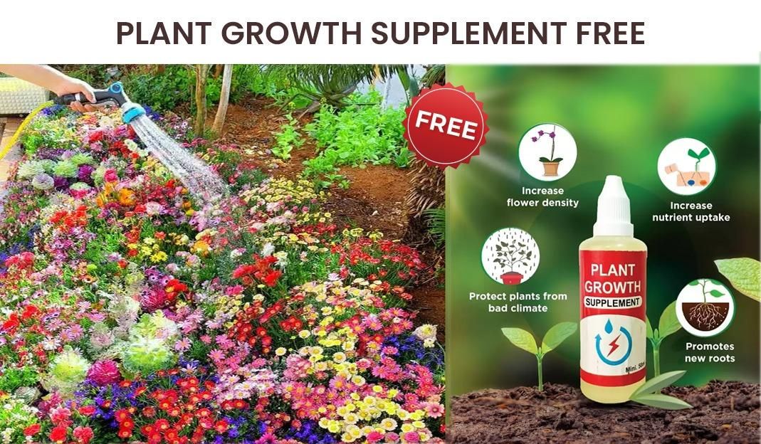 ❤️Flat 50% OFF🏷️ - Varieties of Flower Seeds (Pack of 100)